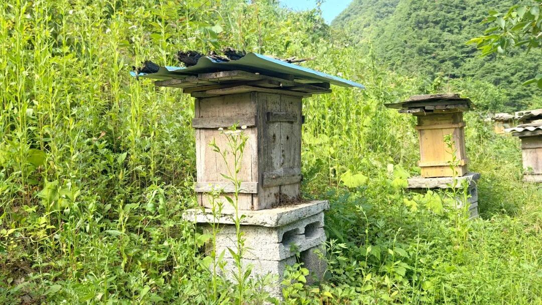 微信图片_20260622102214_16_2.jpg