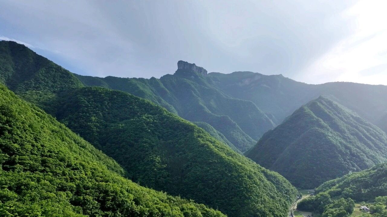 微信图片_20260622102205_15_2.jpg